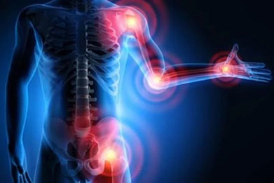 Le cartilage, les articulations et leur vieillissement